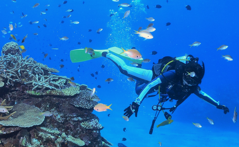 NEO｜沖縄県那覇市 スキューバダイビングショップ ネオ