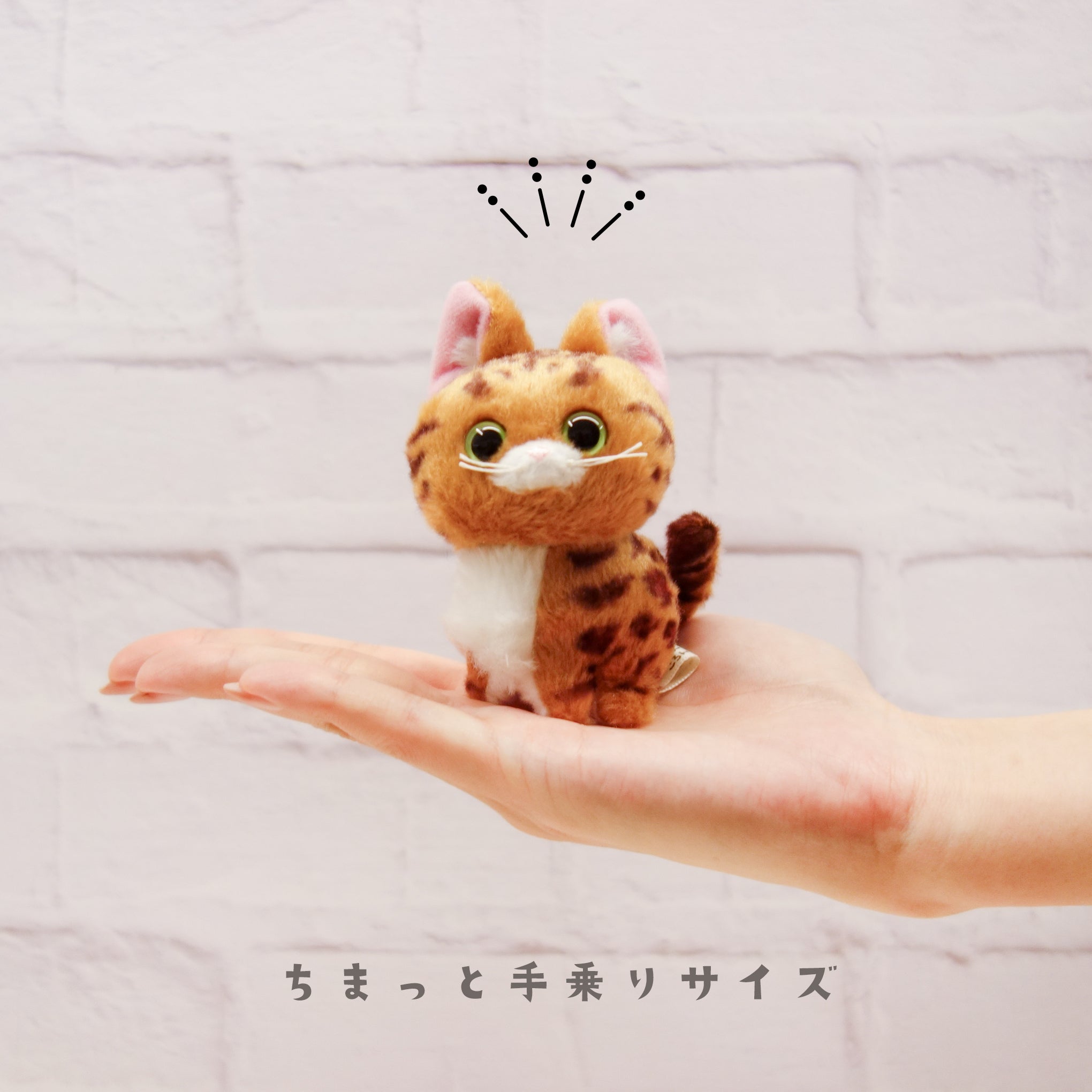 猫 こにゃんころん マスコット – nipopo