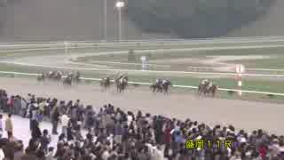 競馬】 2006 シンガポール航空国際C コスモバルク 【ちょっと盛り