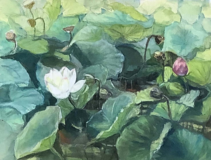 晩夏の蓮池（万博日本庭園）