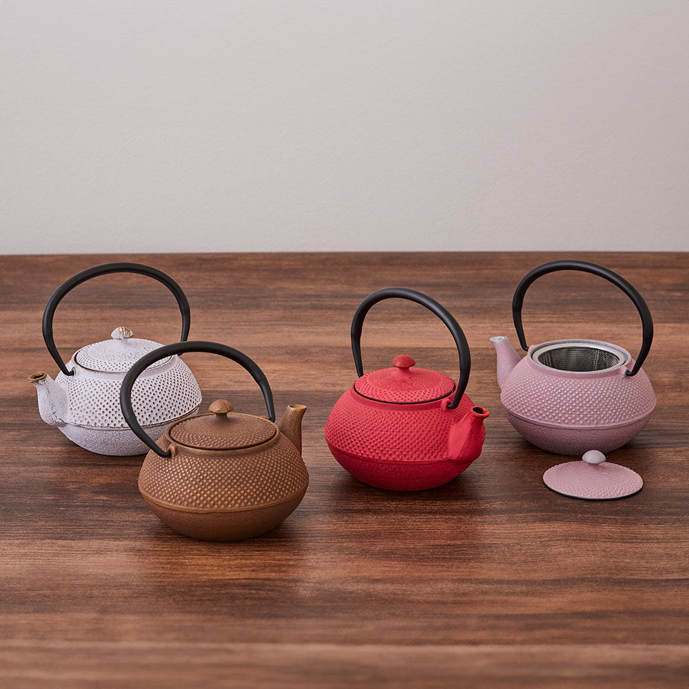 南部鉄器 急須 アラレ 0.4L 5種 ｜のレン神楽坂【公式通販】発酵