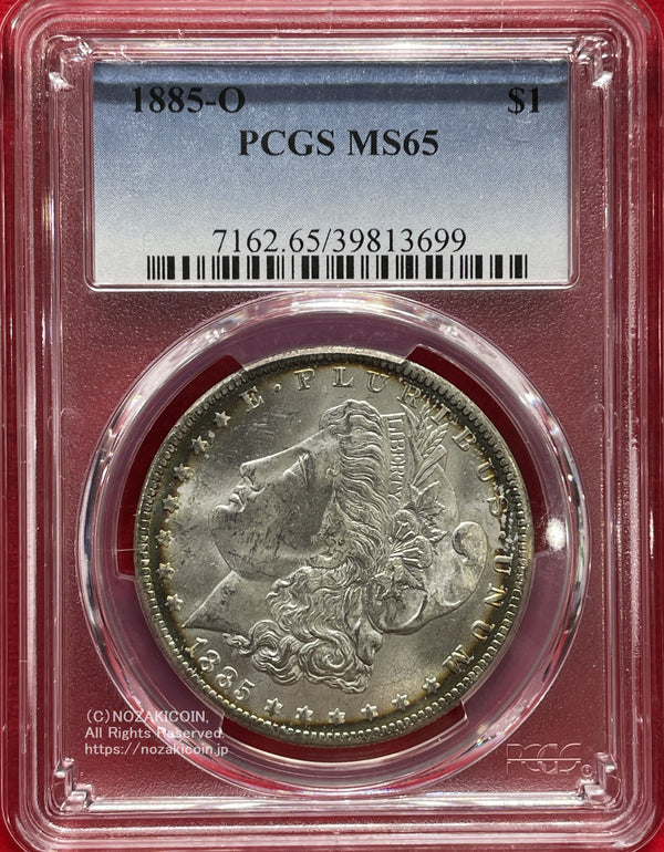 IMG_5506_600x.jpg?v=1697184273