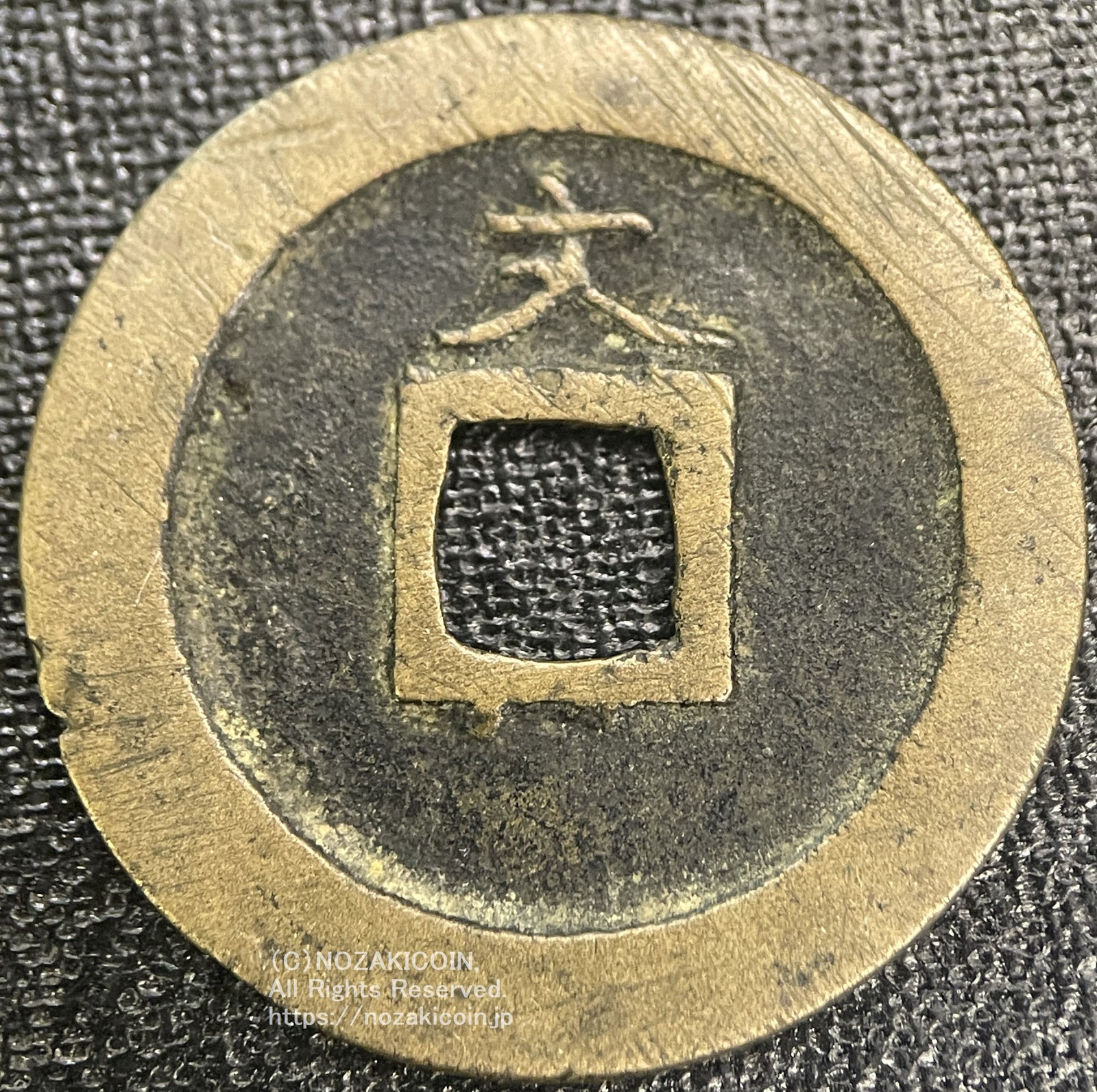 IMG_5565_1600x.jpg?v=1697687375