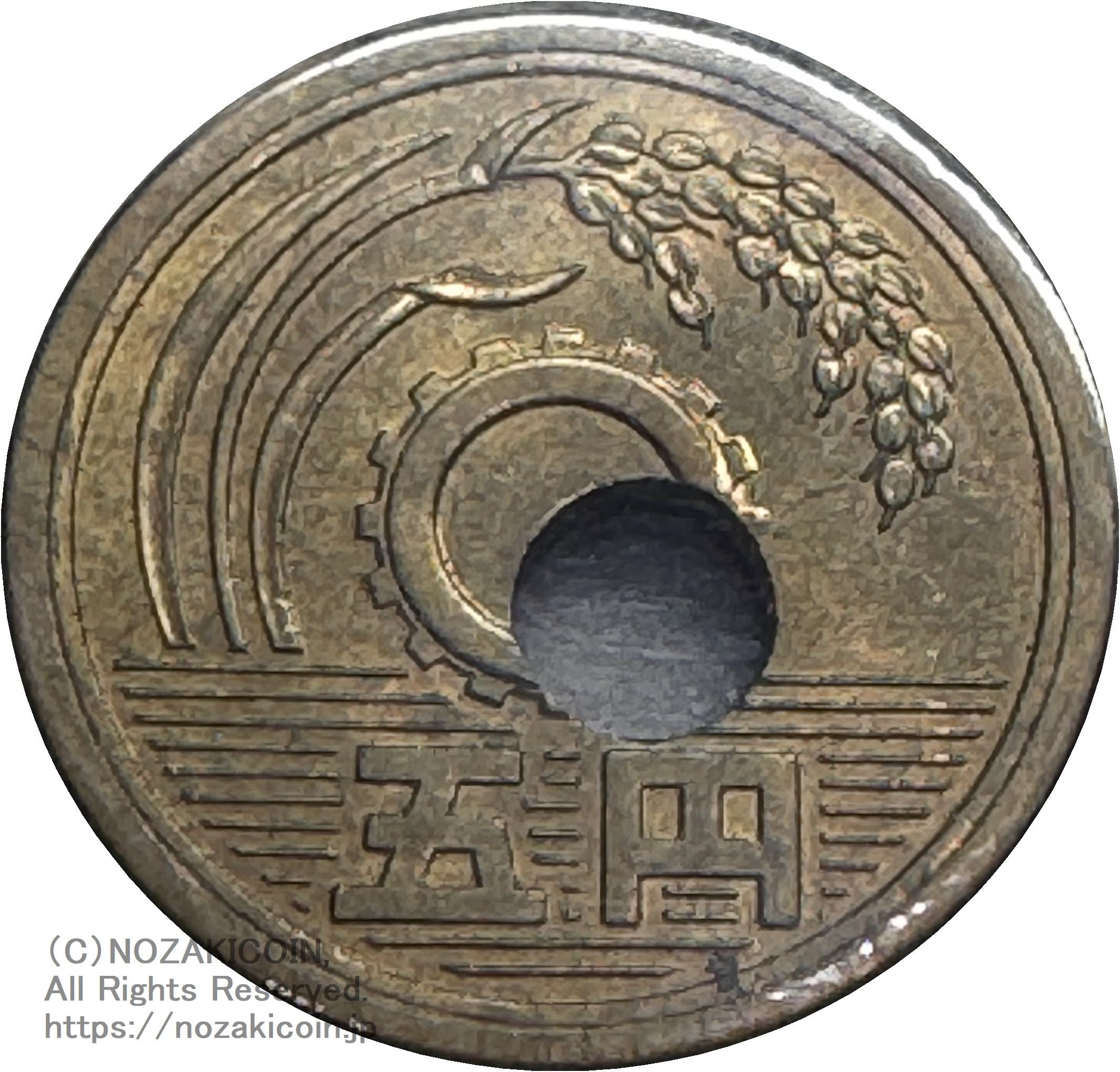 IMG_8955.jpg?v=1726721927