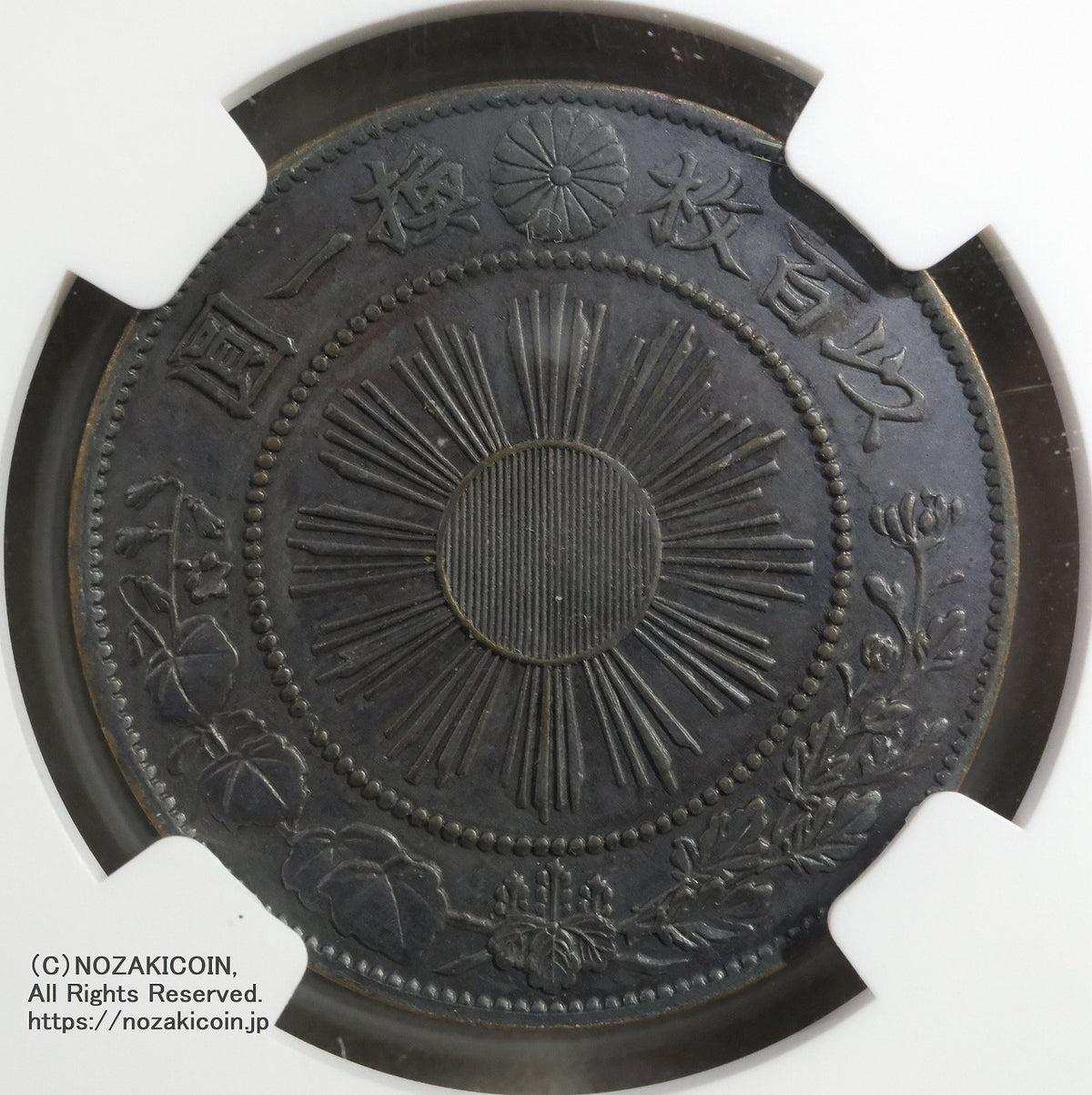 s-DSCF0404_1200x.jpg?v=1743240710