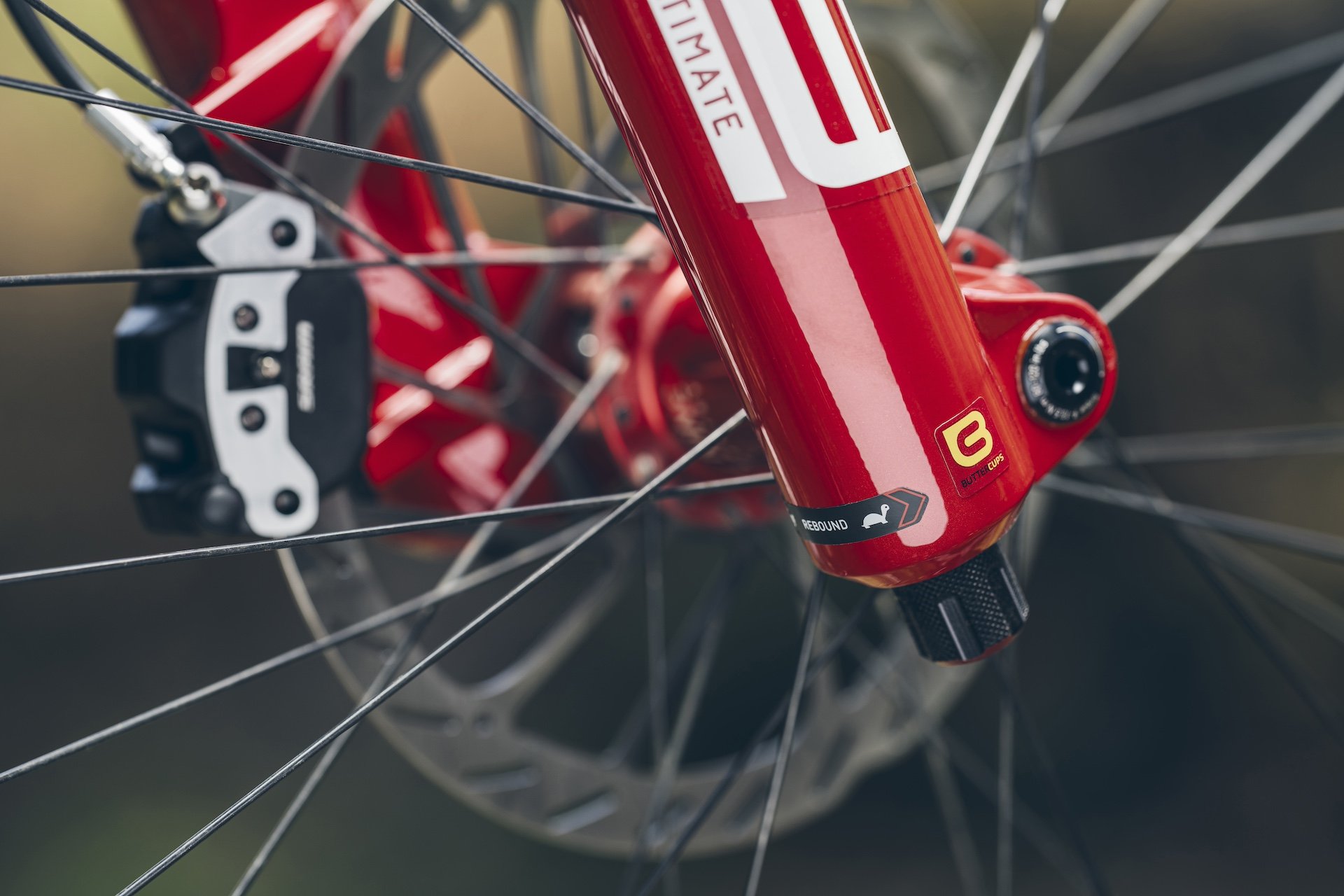 2025 RockShox Vivid Coil and Zeb Ultimate Fork