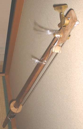 Civette Silent Morinkhuur