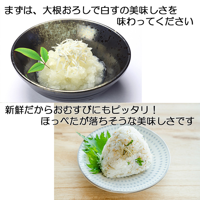 シラス しらす お歳暮 送料無料 冷凍 ギフト 釜揚げしらす ちりめん