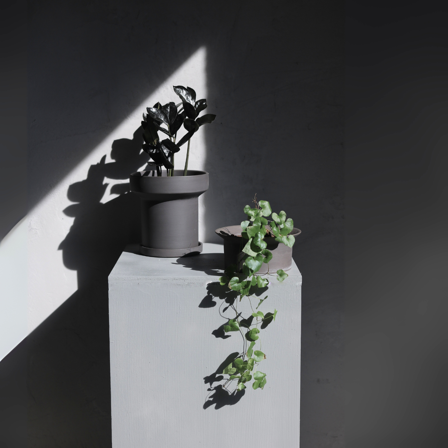 3号｜おしゃれな陶器鉢｜背の低い｜受け皿付｜ハットさん｜北欧｜S