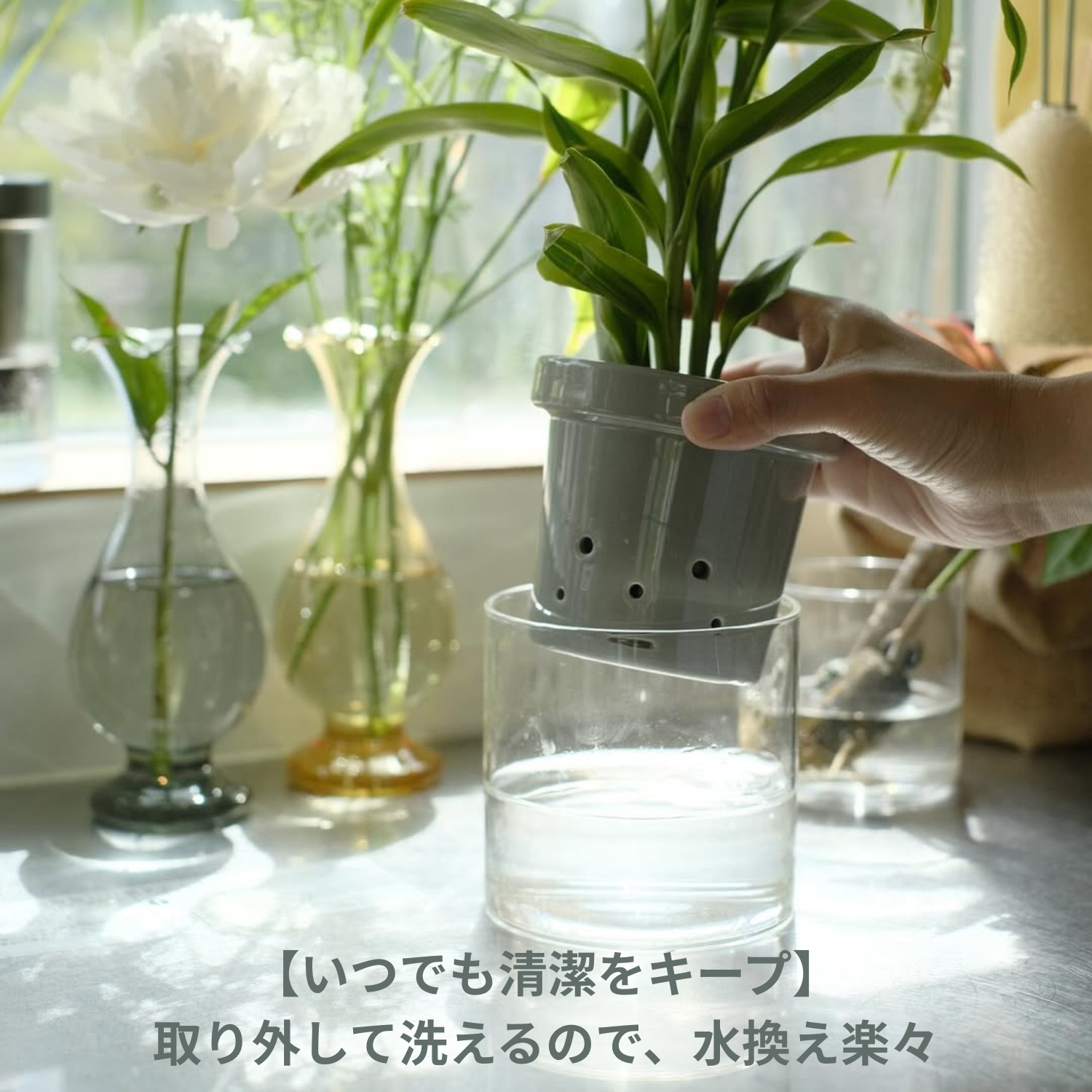 水耕栽培用 ハイドロカルチャー専用鉢 食虫植物の鉢｜陶器 おしゃれな
