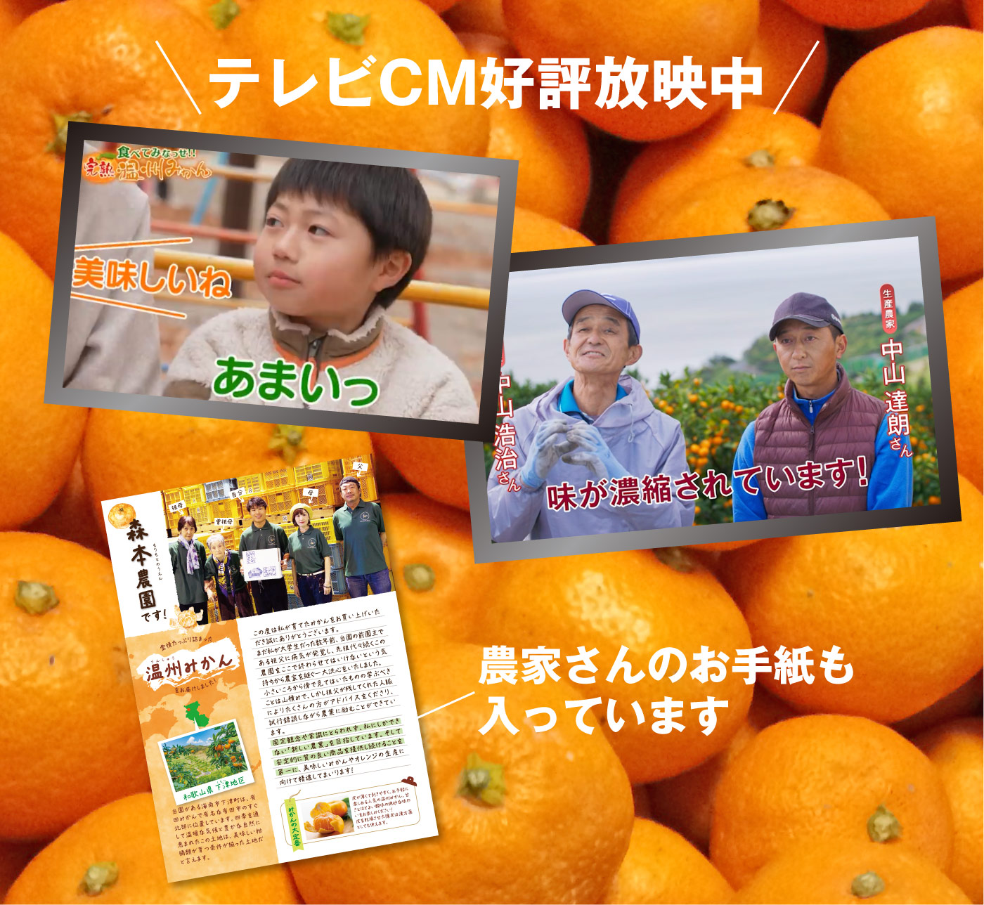 完熟温州みかん＜広告の品＞テレビCM放送中 お試し甘いみかん 生産者