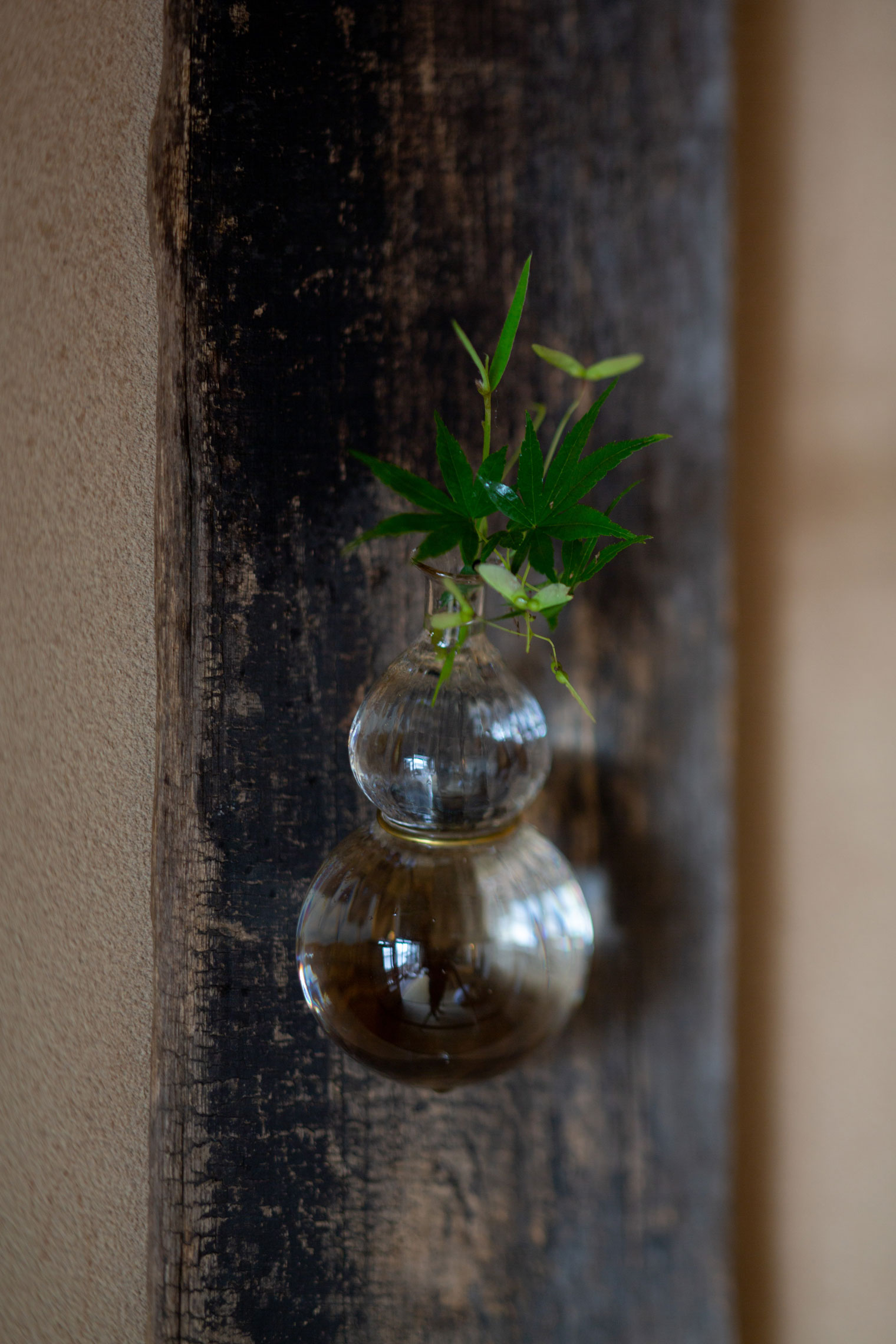 モール瓢掛花入 | Works | 津田清和 | panorama