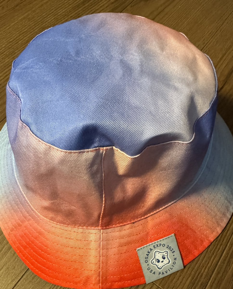 頭がデカイので帽子が苦手な私😅アメリカ館でスパークの激カワ