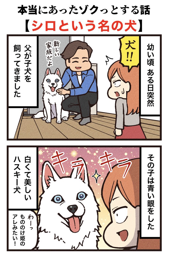 数年前に亡くなったイッヌ。 私らは子が欲しかったけど、出来なかった