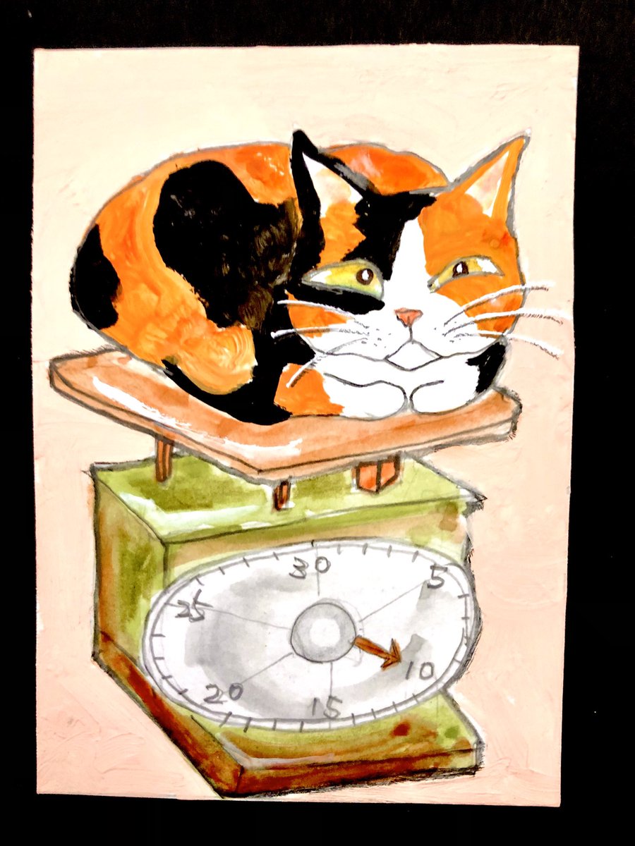 猫壱屋久右衛門 (@og9Z0HG7T7lLpNM) / Posts / X