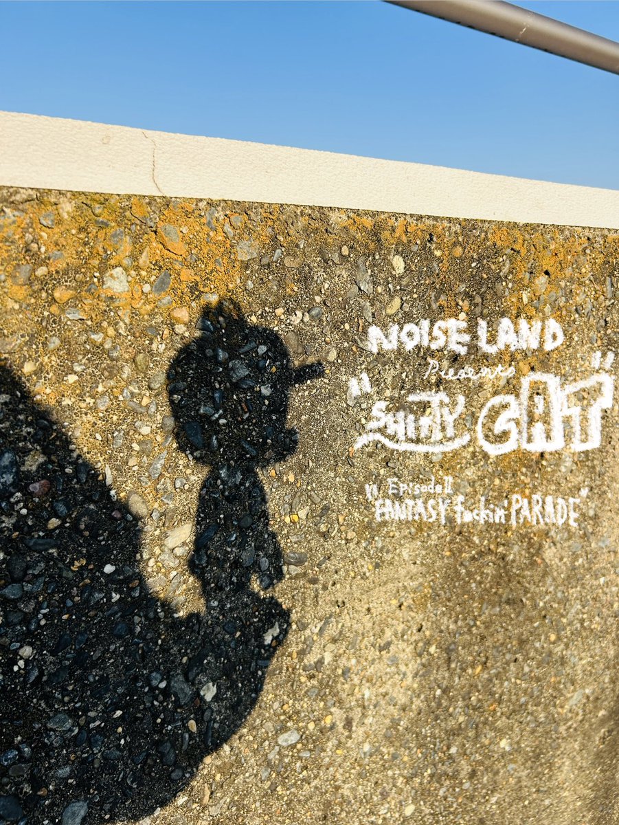 ワンフェスの戦利品✨ STOTさんよりNOISE LAND『SHITTY CAT(epsodeⅡ