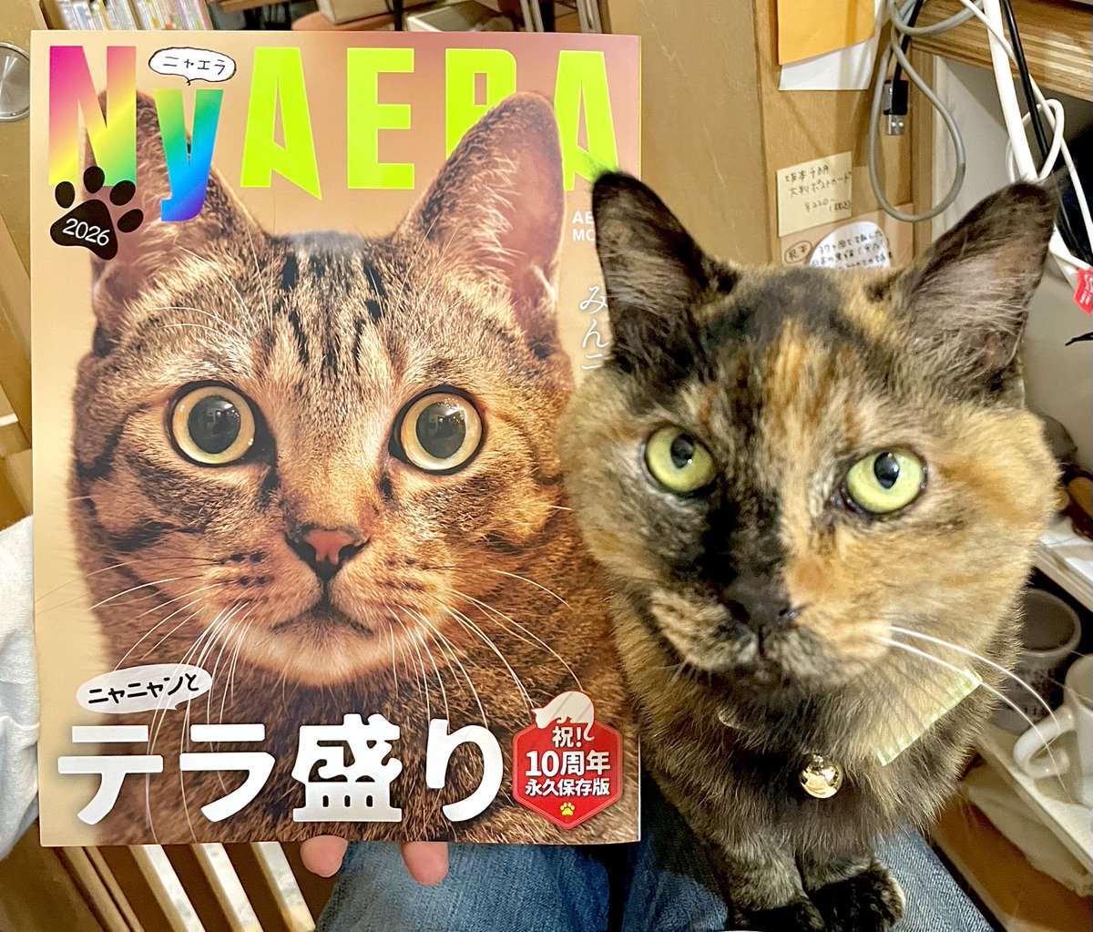 NyAERA（ニャエラ） 2026 テラ盛り』は、週刊誌AERAの特集から名物連載