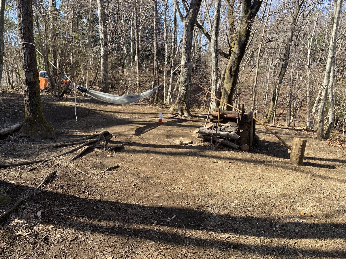 ザッキー@ノルマル水産 (@etcF8cTezvDyFLx) / Posts / X