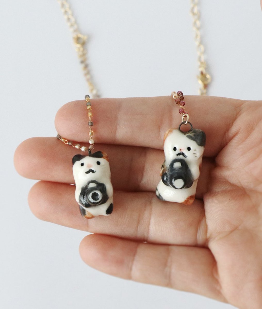 明日は #猫の日 ですね！ カメラ持って猫ちゃんたちも準備万端