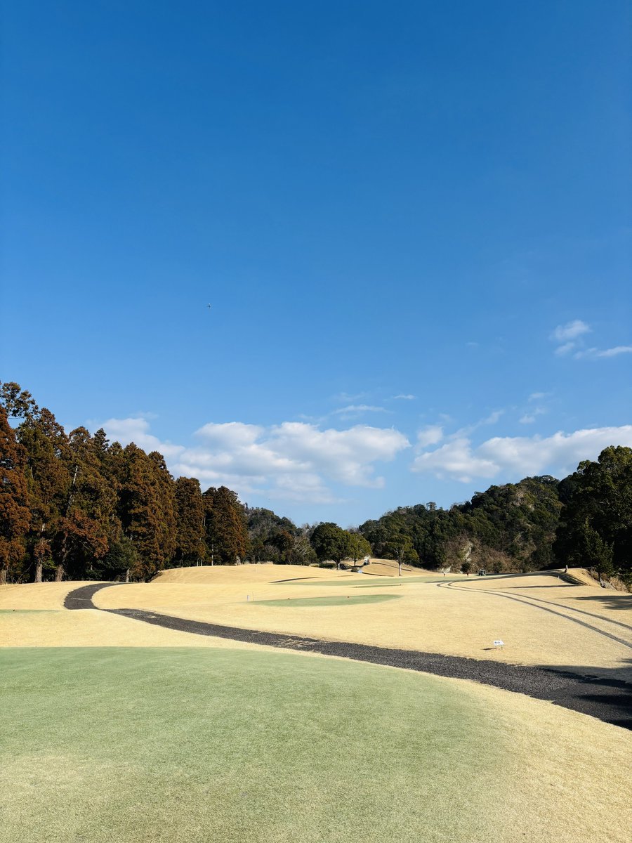 yuki (@_yuki1217_) / Posts / X