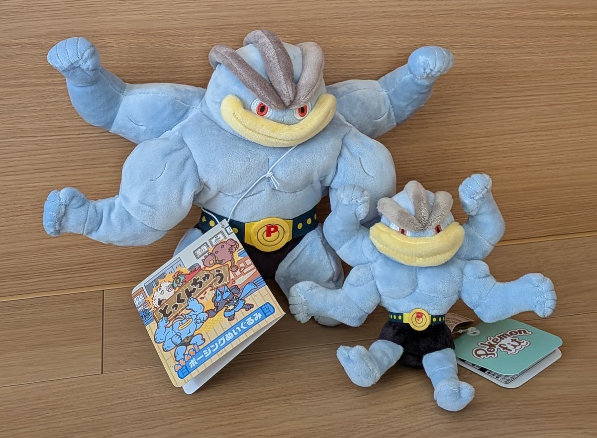 ポケモンぬいは果てしなくなるので私が迎え入れるのはボチとハカドッグ