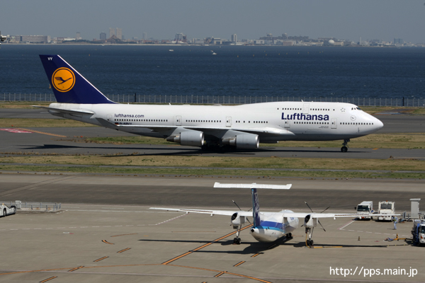 惜別 ANA DHC-8-Q300