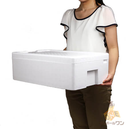 宅配100サイズ】発泡スチロール箱 ※平日9?17時受取限定(日時指定