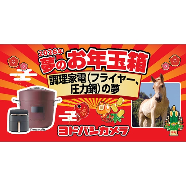 2026年 ヨドバシカメラ家電福袋予想 - Pyan blog (ぴーやんブログ)