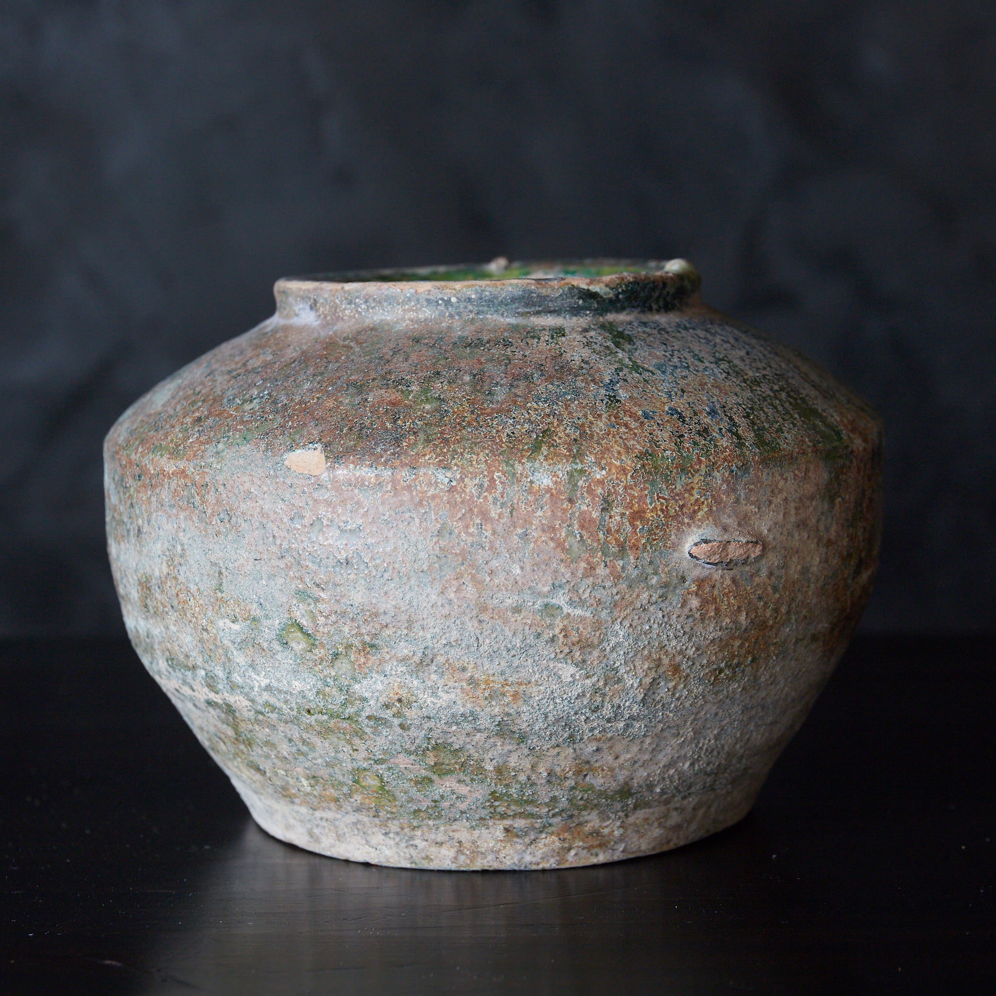 Antique Ceramics アンティーク陶磁器類 商品一覧 | 入蘆花（ロカニイル）