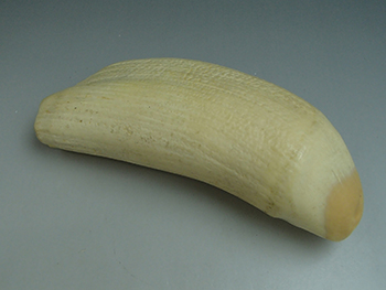 P1132593.jpg