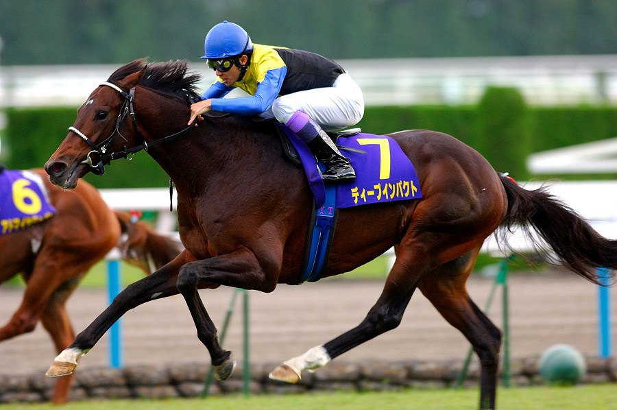 ディープインパクトの種付け料は？年間頭数は？ | 名馬＆ジョッキー