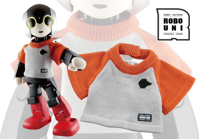 デアゴスティーニの初代Robi組立完成品（キャリングケース＋Robi専用