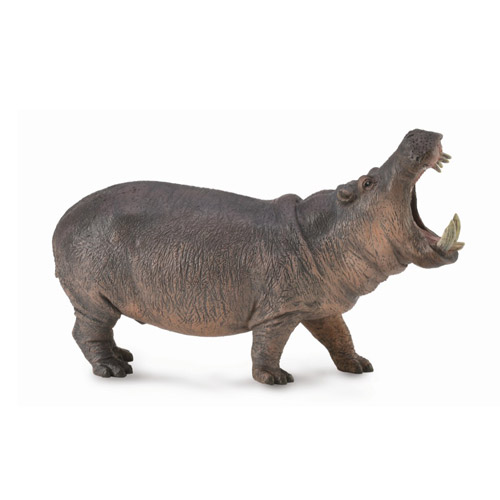 野生の動物 -コレクタ | 動物・恐竜フィギュアのZOOO!