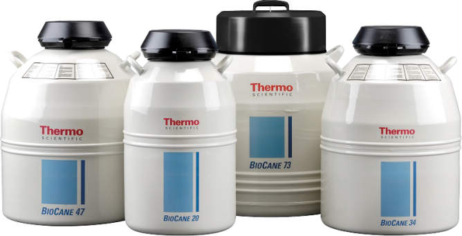 サーモライン バイオケーン20 CK509X2｜総合的理化学機器商社