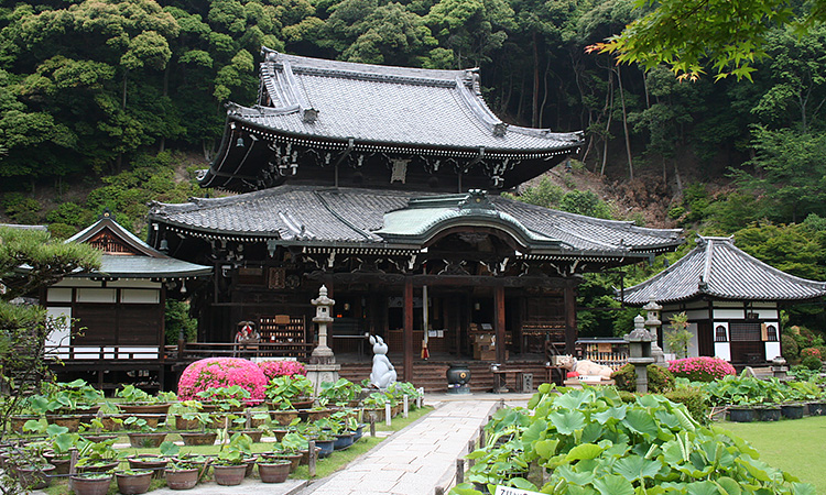 第十番 三室戸寺 : 西国三十三所