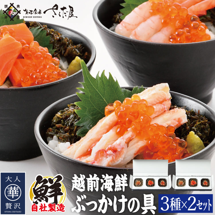 越前海鮮ぶっかけの具セット 3種 甘えび ふくいサーモン