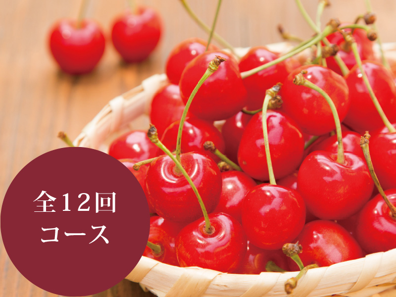 さくらんぼ頒布会＜全12回コース＞｜山形のさくらんぼ通販なら「佐藤錦