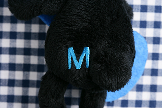 Gallery | THE ALFEE Mobile