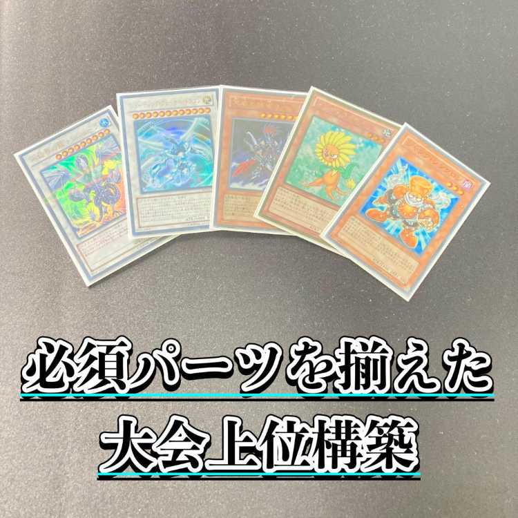 1103環境 本格構築 【シンクロジャンドデッキ】デッキ＆二重スリーブ