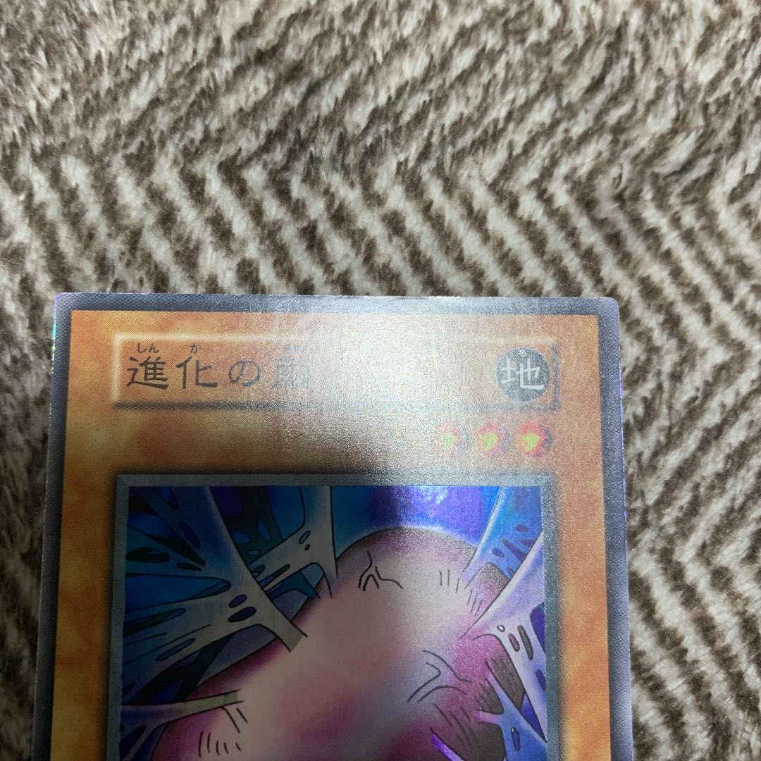 遊戯王 進化の繭 初期 スーパーレア 美品 1枚の通販 さち（469298523