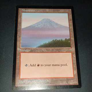 APACランド 富士山 PSA10 APACランド富士山PSA10