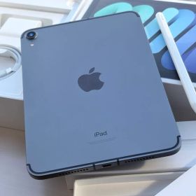 iPad mini 2021 (第6世代) Celler モデル 中古 47,000円 | ネット最