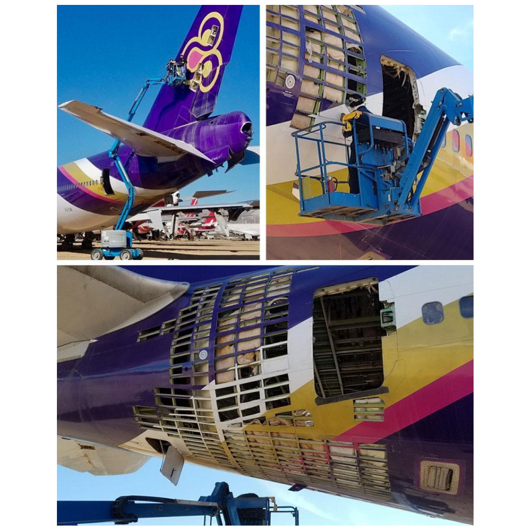 残りわずか!!】PLANETAGS B747 HS -TGM Thai Airways プレインタグス