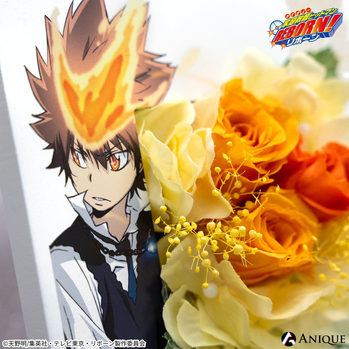 arrange_31_1200x.jpg?v=1697535520