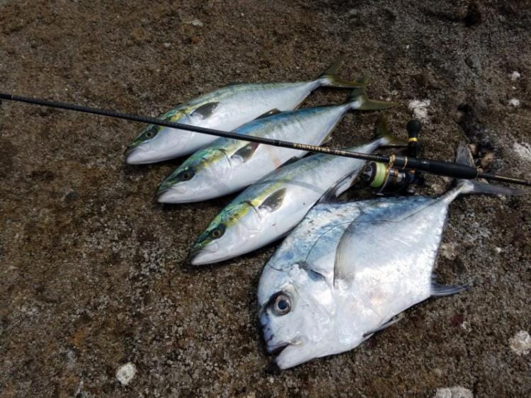 LEGAME 烈煌 XAR-710TZ LIGHT GAME ROD