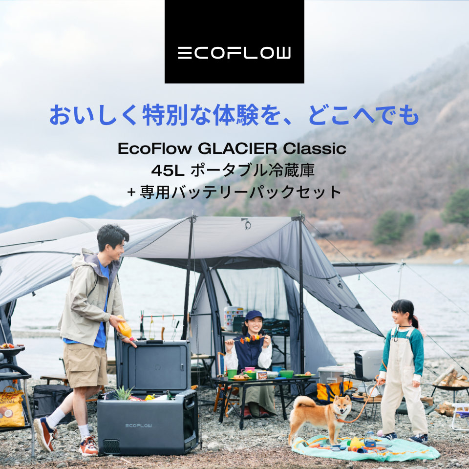 ECOFLOW EcoFlow GLACIER Classic ポータブル冷蔵庫45L +GLACIER専用