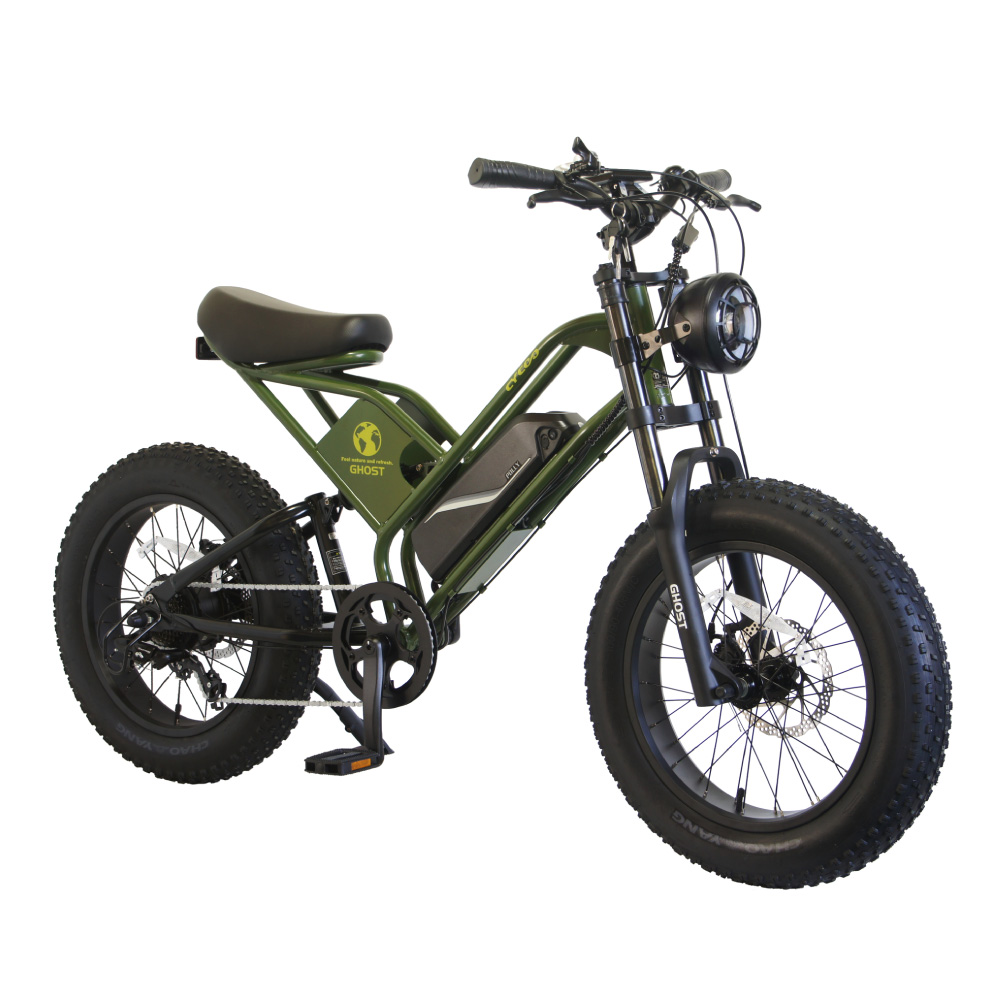 5のつく日は3000円クーポン!))電動アシスト自転車 電動自転車 CYCOO