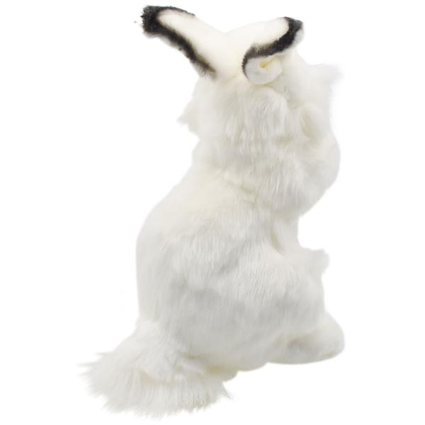 HANSA BH3313 シロウサギ しろうさぎ 白兎 ぬいぐるみ リアル : Dear