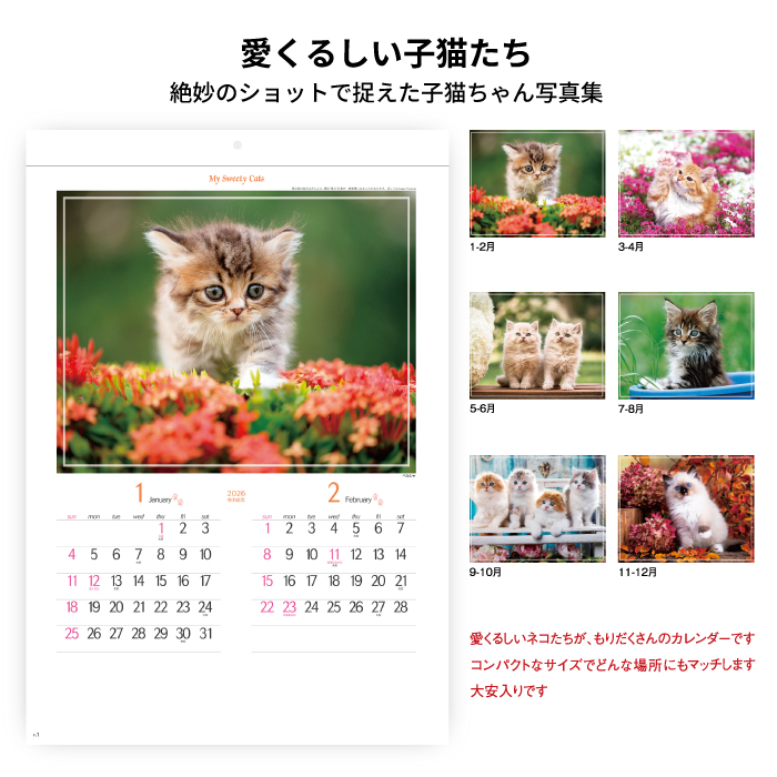 カレンダー 2026年 壁掛け マイスウィーティーキャット SG163 2026 猫