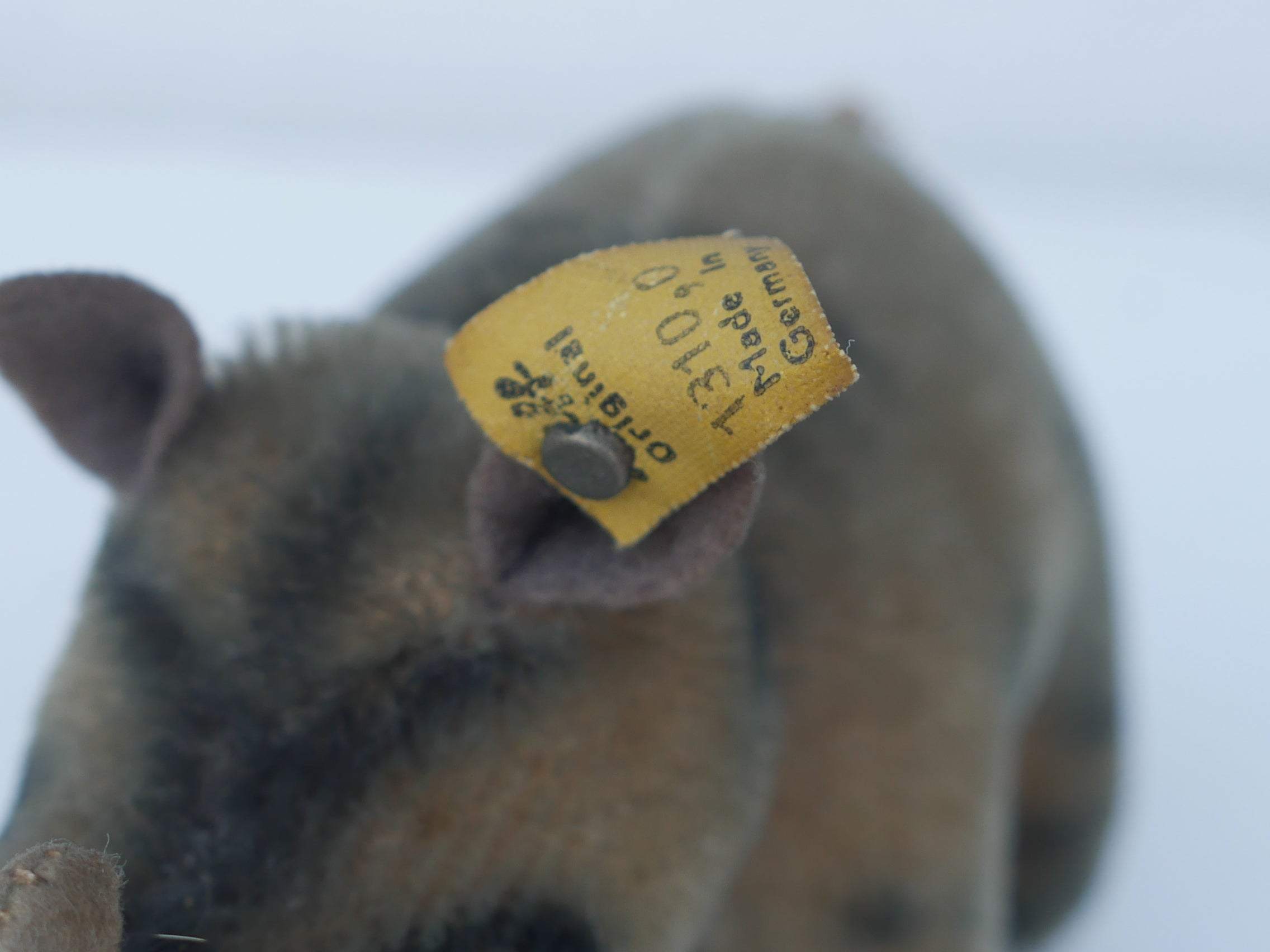 Steiff【Nosy】14cm 1959年～1967年代 ヴィンテージ 黄色タグ シルバー